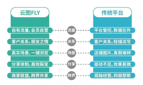 拥抱数字浪潮 解读国家互联网新政下的发展机遇